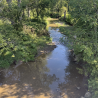 Orange Creek